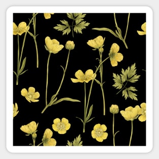 Copy of Buttercup summer small flower on white Sticker